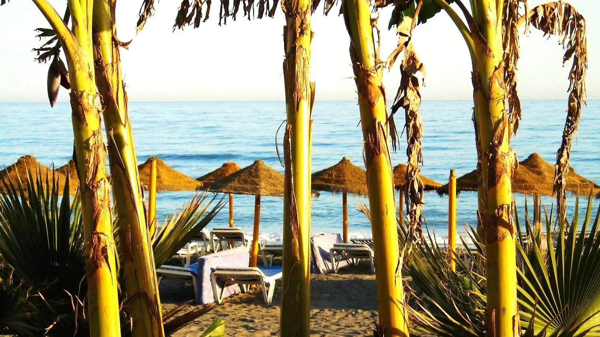 Apartment Estudios 79 Torrox
